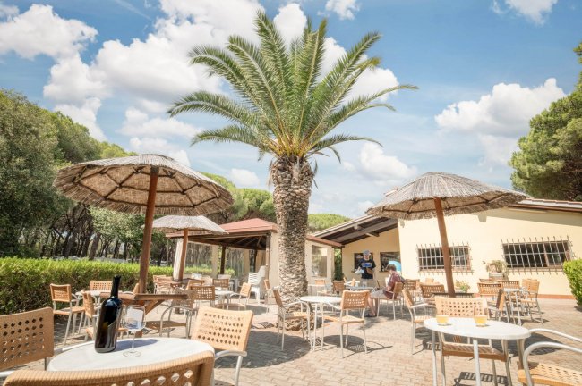 Tavoli all'aperto con ombrelloni di paglia e una palma centrale.