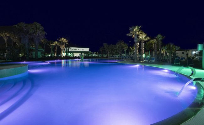 Piscina illuminata di viola con palme circostanti di notte.