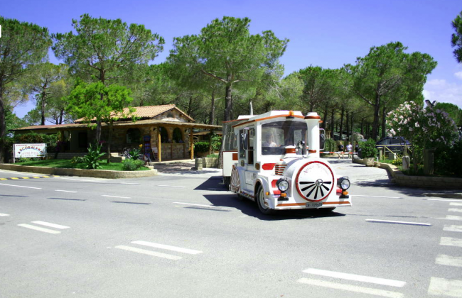 Un trenino bianco e arancione su una strada, con alberi e una casa sullo sfondo.