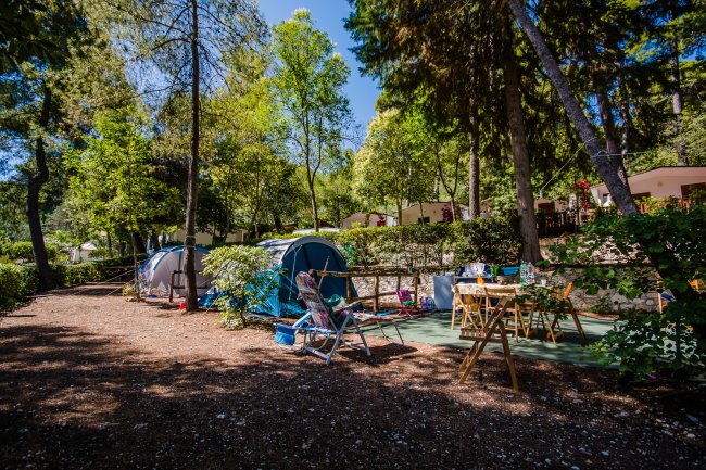 Area camping con tende blu e tavoli da picnic sotto gli alberi.