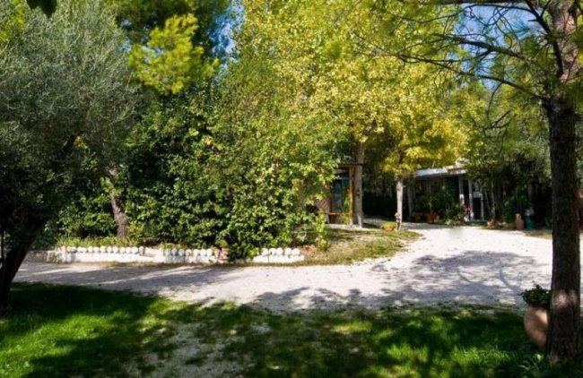 Sentiero sterrato tra alberi e cespugli.