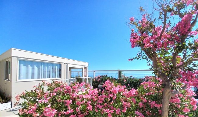 Una terrazza con casa modulare, cespugli di fiori rosa e vista sul mare.