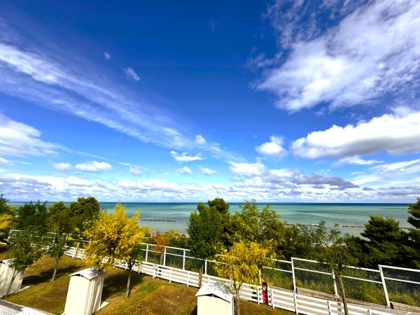 Vista sul mare con cielo blu e alberi in primo piano.