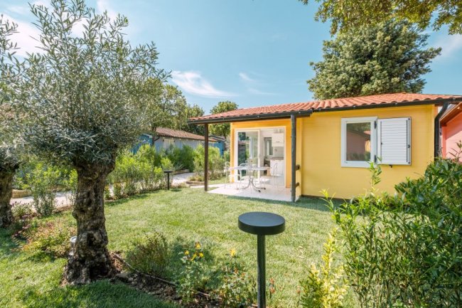 Casetta gialla con patio, giardino verde e albero d'ulivo.
