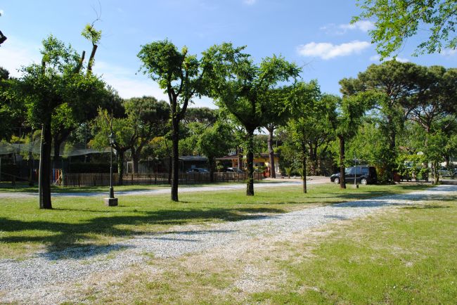 Un viale sterrato in un campeggio, circondato da alberi e vegetazione.