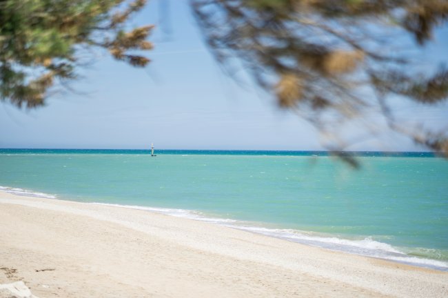Spiaggia sabbiosa con mare turchese, visione parziale attraverso rami di alberi.