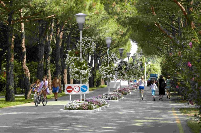 Viale alberato con ciclisti e pedoni, decorato con fiori e lampioni.